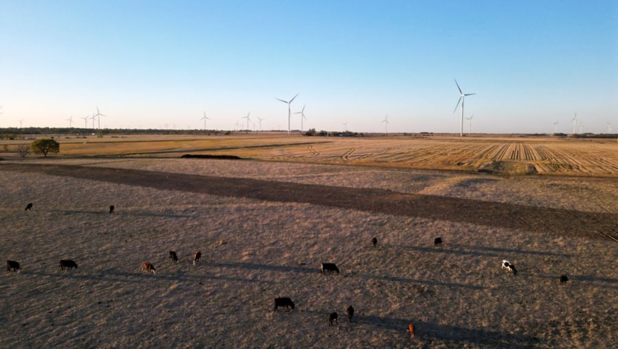 Turbines across agricultural land at Neosho.
