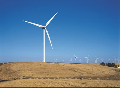 Category: installation
Country: California, USA
Site: High wind
Turbine model: V80-1.8 MW
Component: Blades 
Number of turbines: 81
Photographed in: 2003