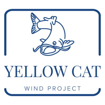 Yellow Cat